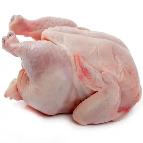 Broiler Whole Chicken(Hard Chicken)x1