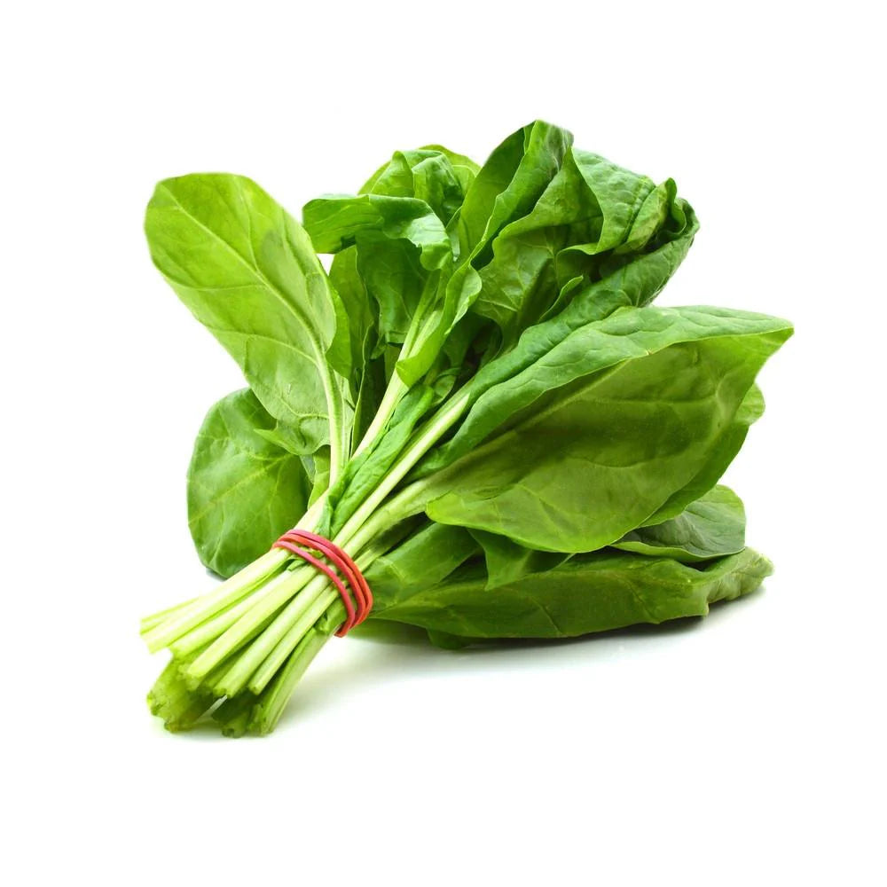 Fresh Spinach Bunch
