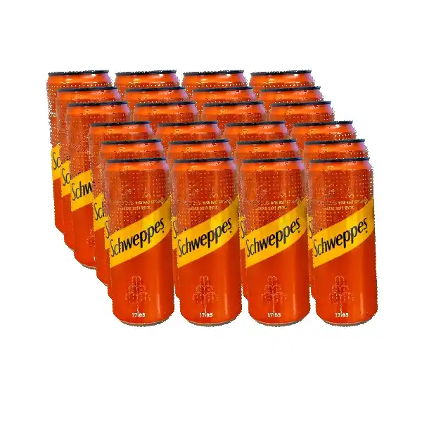 Schweppes Pineapple x24