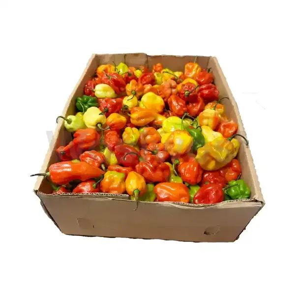 Scotch Bonnet Hot Pepper (Ata Rodo)Full Box (3.6kg)